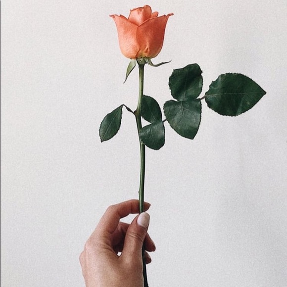 Meet your Posher, Antonia - Picture 1 of 1